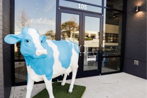 CropMendocinoUptownDExt2(3)