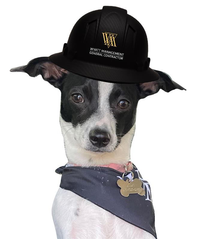 _WMTeamLolaAlt