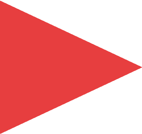 Checkmark icon